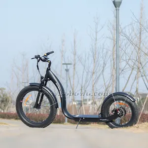 China factory direct supply bafang motor big wheel fat tire electric footbike kickbike