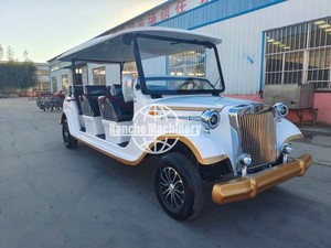 Blue 8-11 Seat Electric Vintage Car for Sale <b>Cheap</b> Price - Product Image 2