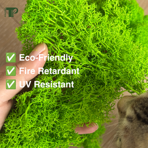 Véritable forêt <span class=keywords><strong>stabilisée</strong></span> artificielle renne irlandais conservé mousse mousse naturelle kit de bricolage mousse artisanat Art décoration murale fleuriste décor - Product Image 3