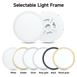 Plafonnier encastré de 12 pouces, champagne, 20W, 5 températures de couleur en une seule lampe LED ronde à montage en surface pour chambre à coucher, cuisine - Product Image 2