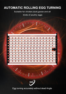 HHD เครื่องฟัก<span class=keywords><strong>ไข่</strong></span>ไก่พลังงานแสงอาทิตย์เครื่องฟัก<span class=keywords><strong>ไข่</strong></span>2000เครื่องฟัก<span class=keywords><strong>ไข่</strong></span>กระจกในประเทศ - Product Image 3