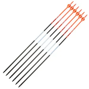 Hunting bogen Spine 300 Pure Carbon Arrow 31 Inches für Compound/Recurve Bow und Arrow Archery