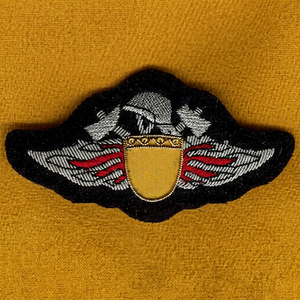 Insignia Bordada Personalizada GERMAN BADGE FIRE WINGS con Ancla y Corona de Laurel, Parche de Tela Cosido para Uniforme o Prenda - Product Image 1