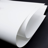 Papel Sintético de PP Ecológico e Impermeable para Impresión Láser e Inyección de Tinta - Papel Plástico Resistente a Desgarros para Mapas y Menús de Exteriores