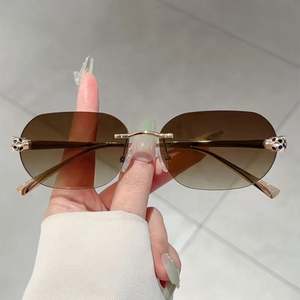 Lunettes de soleil Y2K vintage 2025 personnalisées avec logo, pour hommes et femmes, style punk carré, protection UV400, monture métallique tête de léopard sans cerclage - Product Image 2