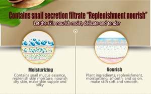 OEM adalet salyangoz bitkisel nemlendirin gündüz gece yüz kremi kuru cilt için - Product Image 3