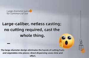 Extracteur <span class=keywords><strong>de</strong></span> jus à froid professionnel pour oranges, citrons, gingembre, tout en acier inoxydable, séparation des résidus - Product Image 2