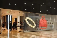 RGX P30 240x1000mm 1200 CD 34x8 Points Mur Vidéo LED Transparent Rideau Souple pour Vitrine, Installation Rapide
