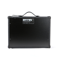 Amplificateur de guitare électrique Deviser YX-TG-40R en gros - Construction en bois durable