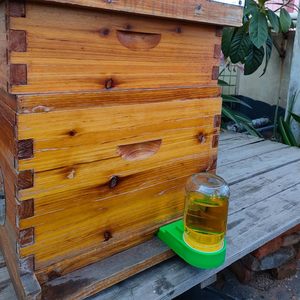 Nuevos comederos de entrada verde Bee Hive Solución de alimentación de jarabe de azúcar o agua fácil y efectiva - Product Image 6