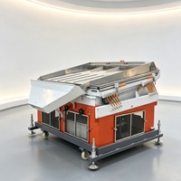 Máquina Despedradora Automática de Granos, Equipo de Eliminación de Piedras por Gravedad para Línea de Procesamiento de Maíz, Soja, Trigo y Granos de Café