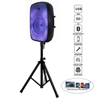 Sistema de Altavoces PA Profesional de 500W con Woofer de 15 Pulgadas, Conjuntos de Karaoke, BT-TWS-Mic--FM-ECHO-EQ+Luz de Llama, Bocina Parlante