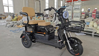 Tricycle électrique chinois 800W avec moteur sans balais, 3 places, autonomie de 55 km, scooter de bonne qualité pour adultes, directement de l'usine