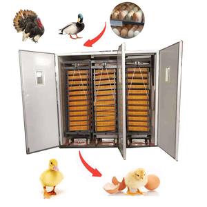 Incubateur 3-en-1 à Trois Chariots pour 12672 Œufs – Machine d'Éclosion pour Cailles, Canards, Oies et Poulets HJ-IH12672 - Product Image 2