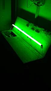 <span class=keywords><strong>Tube</strong></span> <span class=keywords><strong>fluorescent</strong></span> triphosphoresque T12 20W/40W, <span class=keywords><strong>prix</strong></span> d'usine - Product Image 6