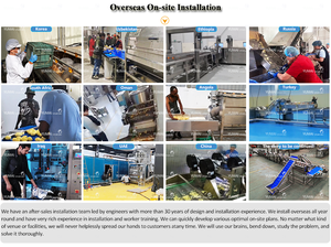 Ligne de production de frites surgelées entièrement automatique à petite échelle, machine à frire les chips de pommes de terre fraîches, prix - Product Image 6