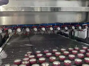 Kaars Vulmachine Transportband Productielijn Automatische Vulling Wax Wax Smelter Voor Kaars Maken Geschikt Voor Ons