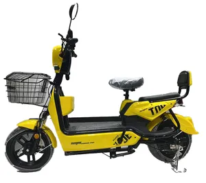 Bicicleta de ciudad eléctrica de 500W con batería de plomo-ácido Neumático de vacío de 14-250 para adultos