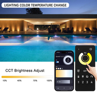 C302Z IP68 impermeable Zigbee 4 Zone MESH controlador remoto Led CCT Sync Tuya inteligente piscina decoración proyecto controlador