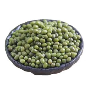 中国散装批发绿色绿豆富含维生素100% 天然绿豆