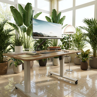 Bureau de travail ergonomique AUKI à hauteur réglable électriquement avec moteur unique, pour ordinateur, ES09-01-FTP100x600