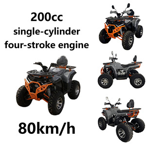 Kart fuoristrada 200CC a catena, quattro tempi, a benzina, per <span class=keywords><strong>montagna</strong></span>/spiaggia, con velocità massima di 80 km/h - Product Image 1
