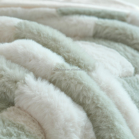 Couverture pliable douce et moelleuse en polaire FY, 40x50 pouces, légère, colorée, chaude et confortable pour lit et canapé, disponible en tailles 60x80 (Vert)