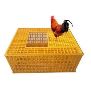 Transporte 10 pollo caja de plástico de aves de corral jaula de transporte