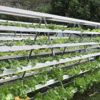 Système de culture hydroponique verticale de type A avec pompe, haute productivité, irrigation automatique, longueur personnalisable