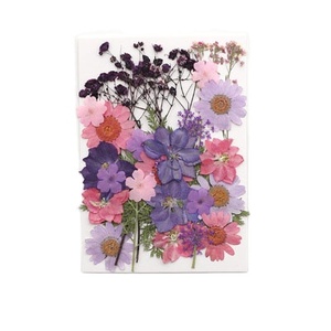 2025 New Product Wholesale <strong>Reasonable</strong> Price Natural Preserved <strong>Flowers</strong> Plants DIY Materials Pressed <strong>Flowers</strong> - Product Image 1