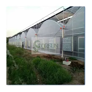 Volume Large Easy Up Multi Span China Polytunnel Greenhouse for Agriculture