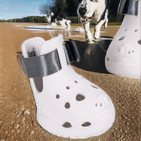 Nouvelles Chaussures pour Chien Respirantes, Imperméables et Antidérapantes, Design Perforé Solide, Style Japonais-Coréen, Protection des Pattes pour l'Été en Extérieur