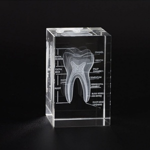 Cubo di Cristallo K9 Inciso al Laser 3D, Modello di Organi Umani: Cuore, Cervello, Dente, Scheletro, Fegato, Ornamento Didattico Medico, Souvenir per Dottori - Product Image 4
