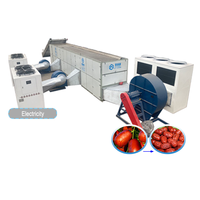 Machine de séchage automatique pour dattes, équipement de séchage des fruits