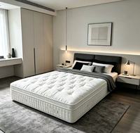 Matelas en latex haute densité pliable moderne à approvisionnement stable, très demandé, format King Single, avec surmatelas confortable en mousse à mémoire de forme