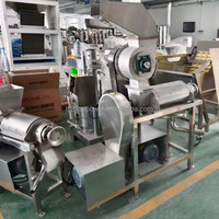 Machine d'extraction de jus industrielle à vis à froid pour fruits et légumes (mangue, citron, ananas, gingembre, pomme, orange)
