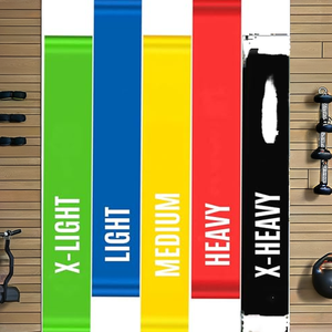 5 Bandes Élastiques Durables pour Exercices de <span class=keywords><strong>Renforcement</strong></span> <span class=keywords><strong>Musculaire</strong></span>, Pilates, Entraînement Fonctionnel en Salle de Sport, Entraînement à Domicile, Physiothérapie, Yoga et Résistance - Product Image 2