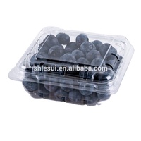Conteneur en plastique PET transparent jetable de 125 g pour myrtilles, boîte d'emballage pour fruits frais à emporter
