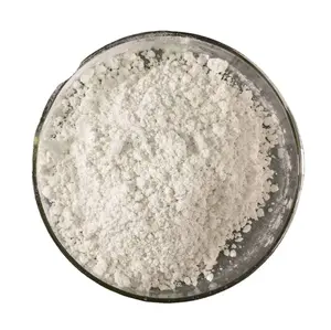 Factory Price Quick Lime Purity 90%-99% Calcium Oxide Powder Calcium Oxide