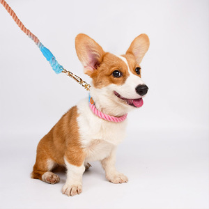 Ensemble collier et laisse pour chien en coton tressé, colliers et laisses pour animaux de compagnie, laisse en corde pour chien, laisse d'entraînement personnalisée, ensemble collier et laisse pour chien - Product Image 5