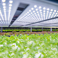 Panneau lumineux LED à spectre complet 100W 200W avec variateur d'intensité pour culture hydroponique intérieure de plantes médicinales en serre