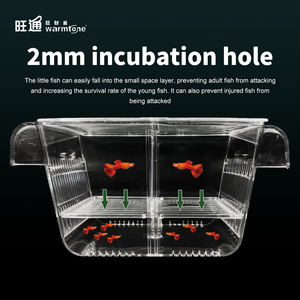 WT-2003/WT-2005/WT-2007 Tk Hot Plastic Materiaal Incubator Outdoor Aquaria Accessoires Internationale Certificeringen Gemaakt China - Product Image 4