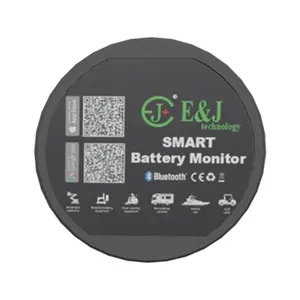 Moniteur de batterie BM21S bluetooth smart rv shunt batterie moniteur batterie lifepo4