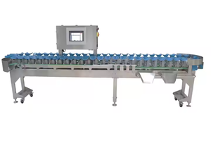 Báscula Electrónica de Pesaje para Pescado Congelado con Cinta Transportadora, Clasificación Automática de Peso, Acero Inoxidable 304, OEM/ODM - Product Image 5