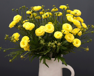 Crisantemo de Mil Capas al por Mayor, Decoración para el Hogar, Decoración de Bodas, Tela Artificial - Product Image 2