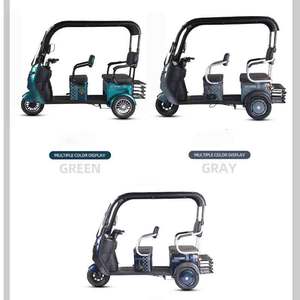 Wholesale 1000W Adult Smart Tricycle Electric <strong>Motorcycle</strong> Family Use Electric Tricycle Scooter <strong>with</strong> <strong>Roof</strong> - Product Image 2