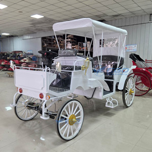 Carruaje Eléctrico Convertible Blanco de Seis Plazas, Carruaje para Bodas y Turismo en Venta - Product Image 2