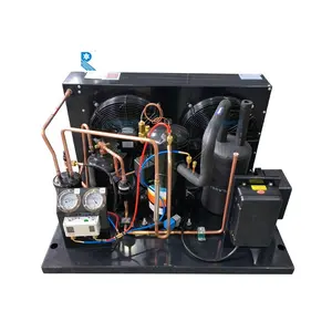 RUIXUE open type Ultra-low temperature 3hp condensing unit multiple refrigeration compressor