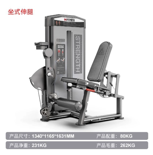 Extension de jambe assise F1019
