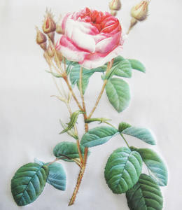 Etiquetas Adhesivas Sublimadas Besteasy de Alta Calidad, Modelo de Impresión por Transferencia de Calor 3D de Guangdong para Personalización de Ropa - Product Image 3